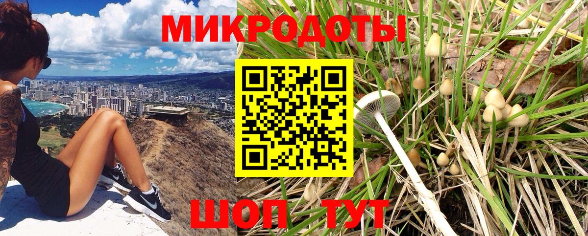 Псилоцибиновые грибы прущие грибы  Вход с VPN  Галлюциногенные грибы Magic Shrooms  Малгобек 